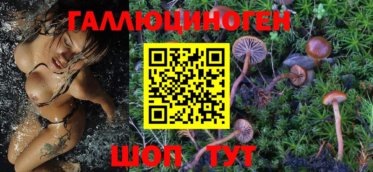 Волгоград  Галлюциногенные грибы Magic Shrooms  продажа наркотиков  Вход с VPN 