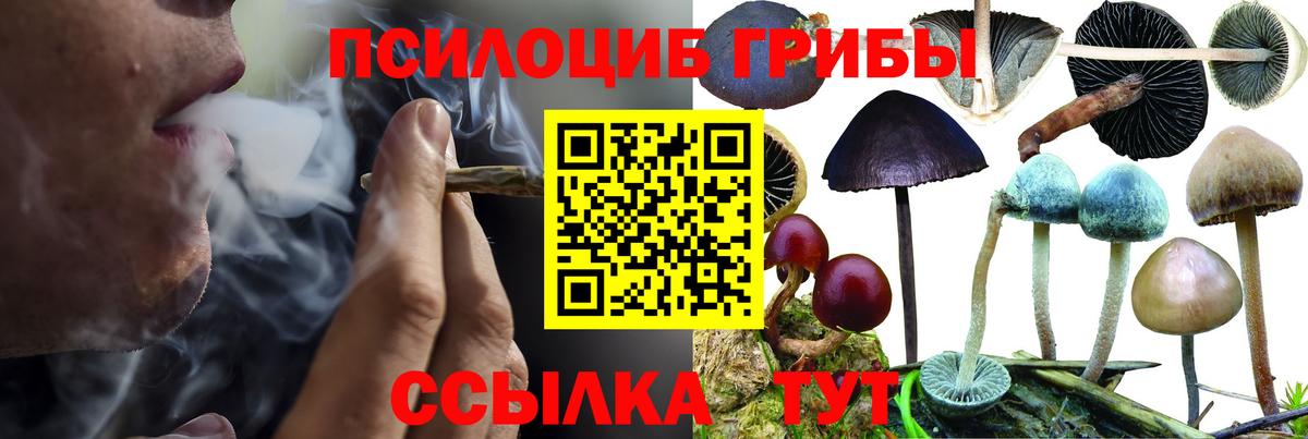 Галлюциногенные грибы Magic Shrooms Волгоград